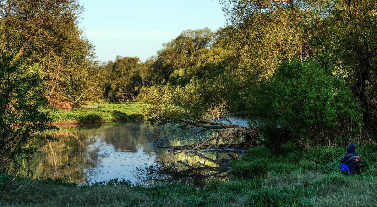 *** - Владимир Безбородов