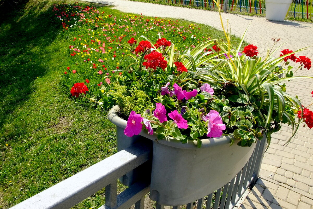 ♡♡♡ - Фёдор Меркурьев