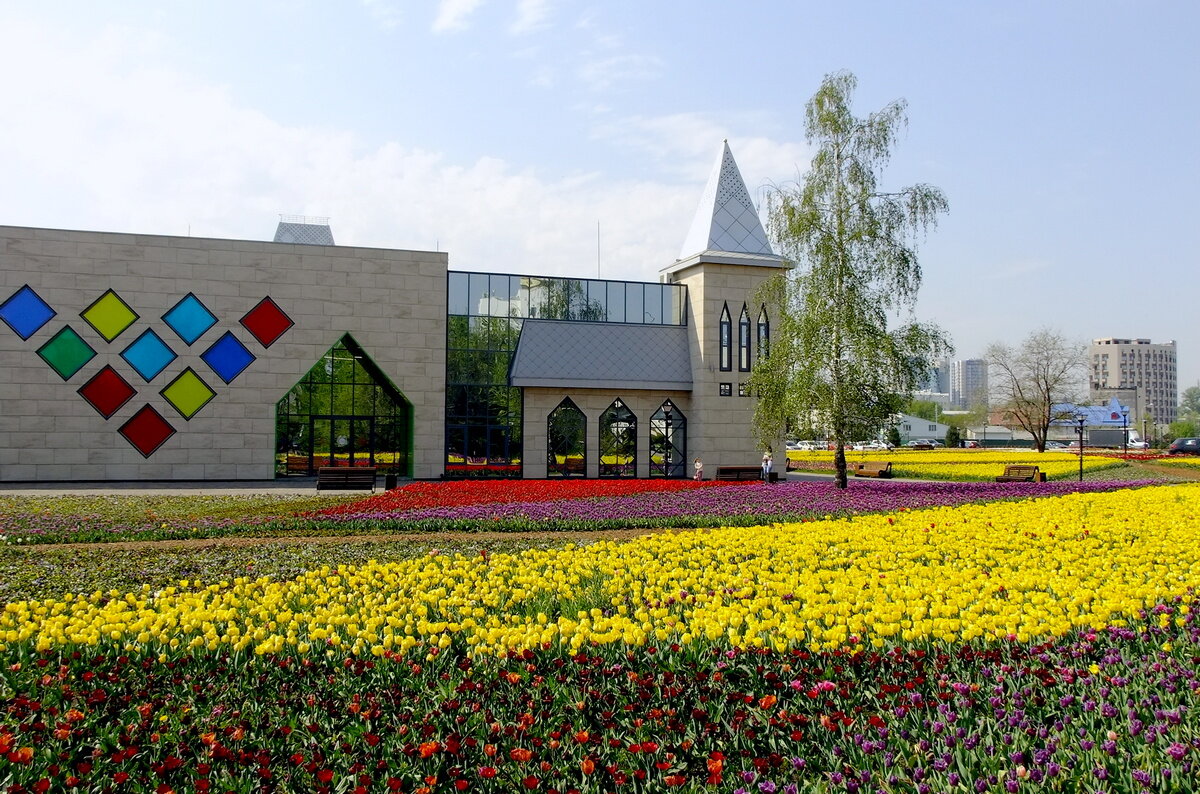 Дворец для творчества - Фёдор Меркурьев Дворец для творчества - Фёдор Меркурьев