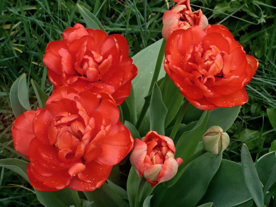 ПОСЛЕ ГРОЗЫ -3 - Елена Куприянова 