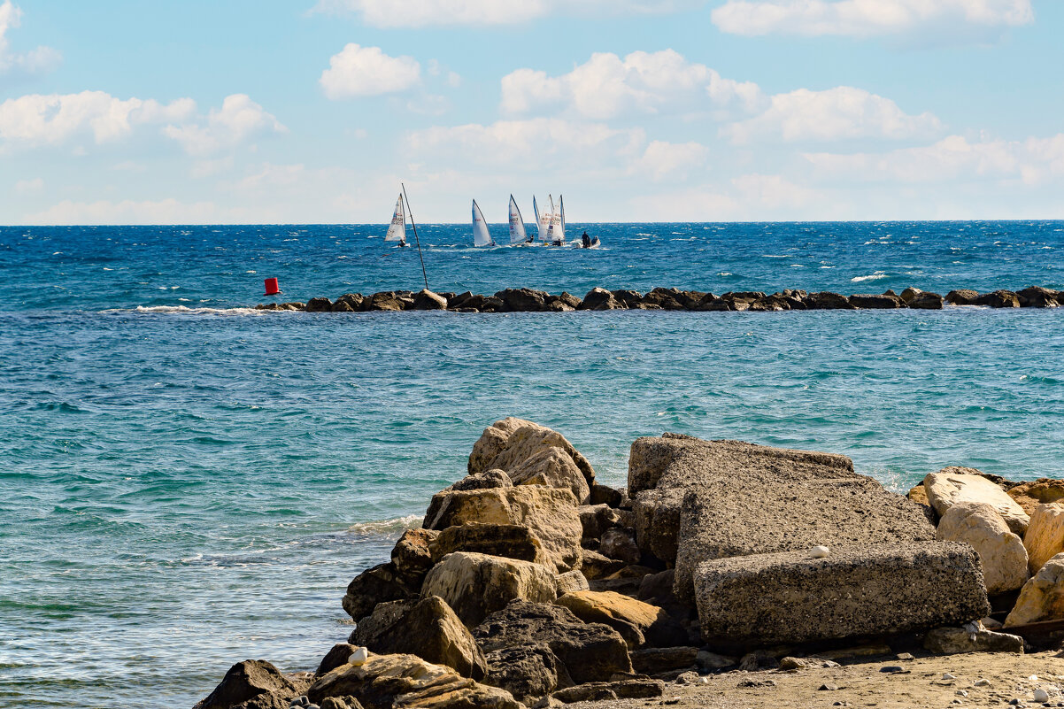 Тренировка - Oleg4618 Шутченко