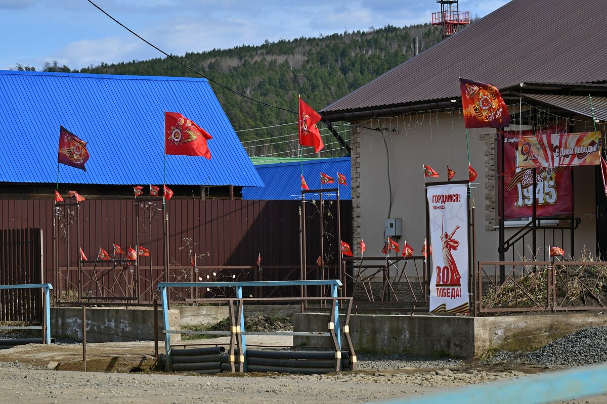 Выоская зафлаженность - Сергей Шаврин