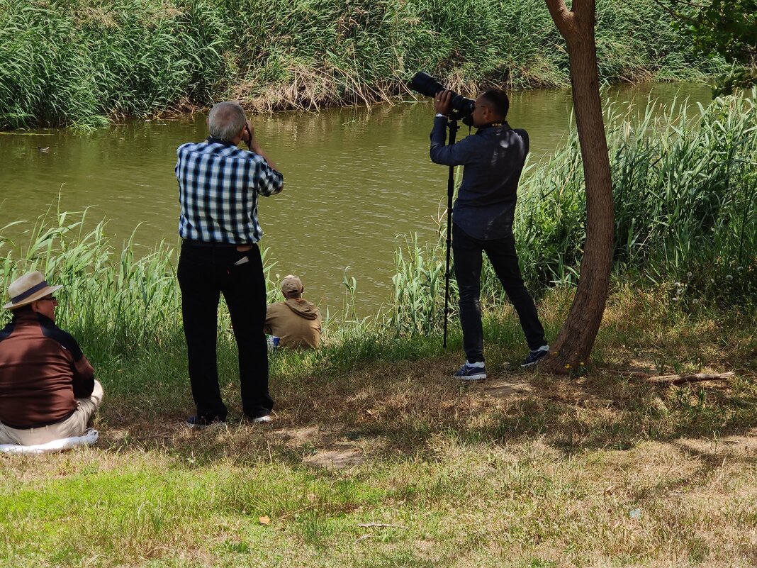 У реки Лахиш - Светлана Хращевская