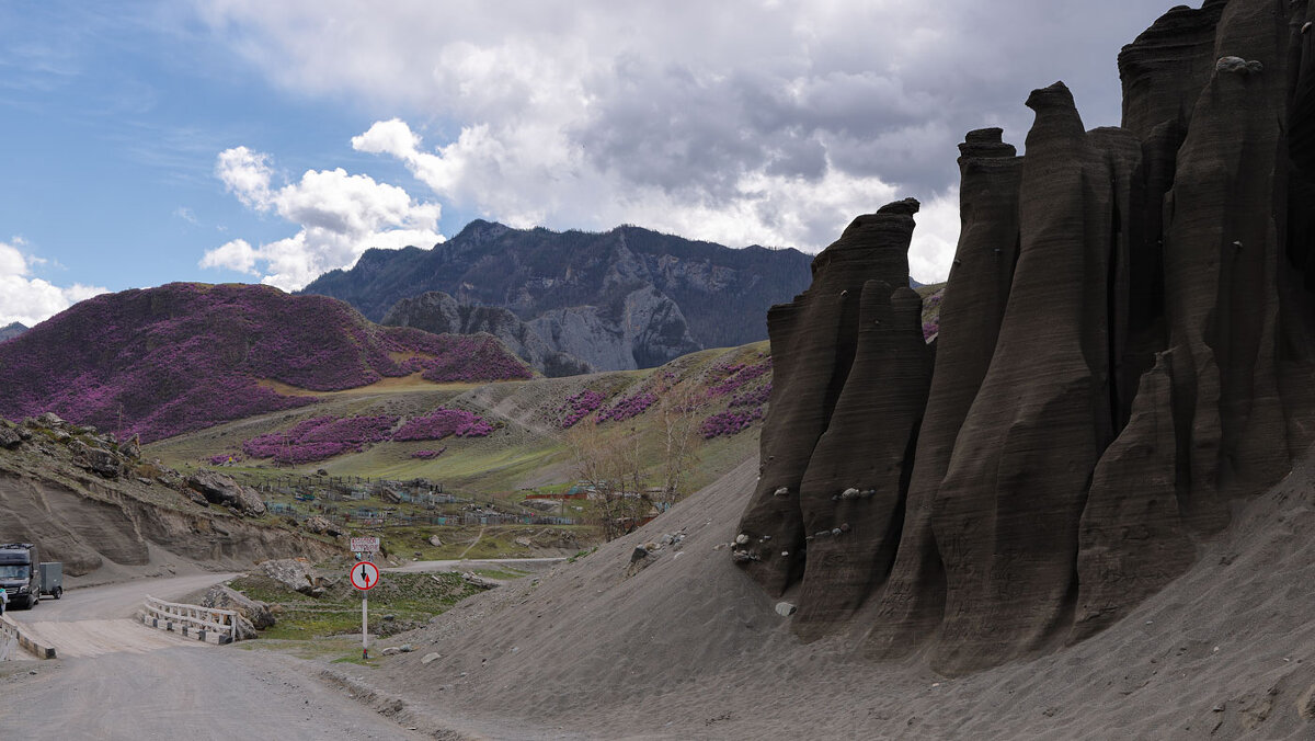 *** - владимир 