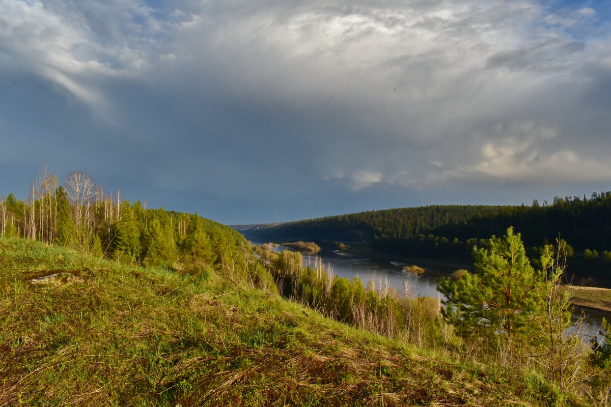 Вечер - Роман Пацкевич