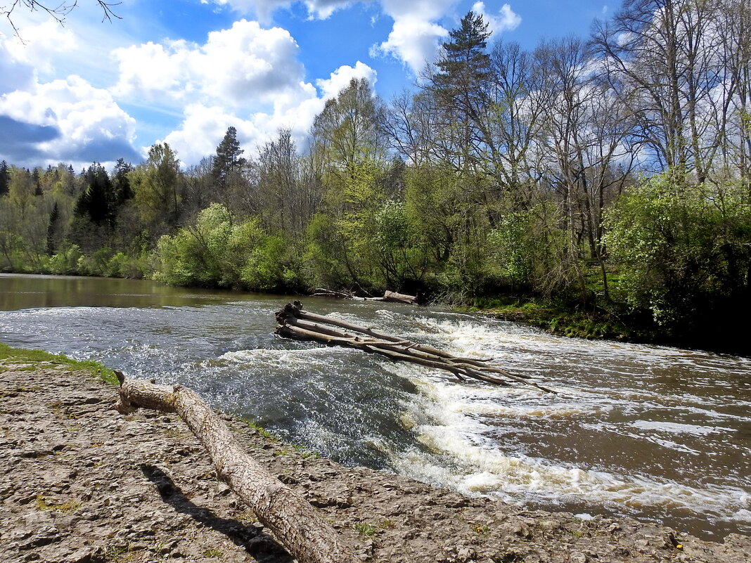 весна - ИННА ПОРОХОВА весна - ИННА ПОРОХОВА