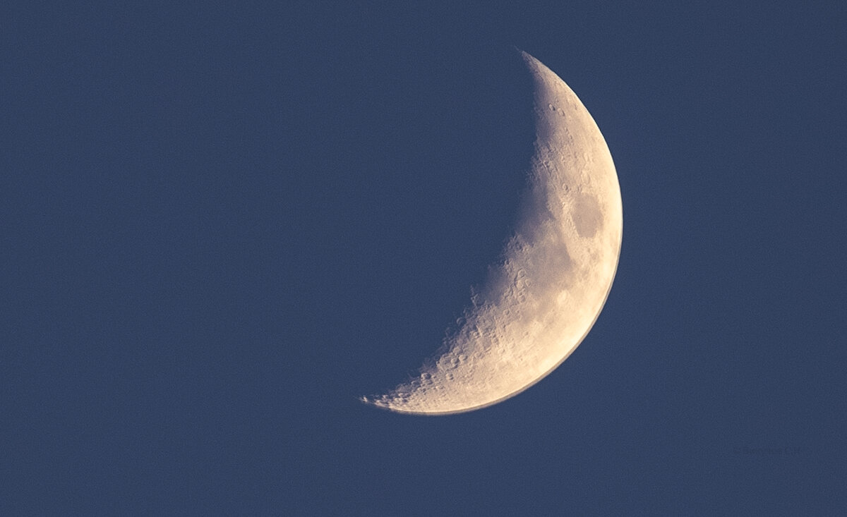 Я доволен - Sergei Vikulov Я доволен - Sergei Vikulov