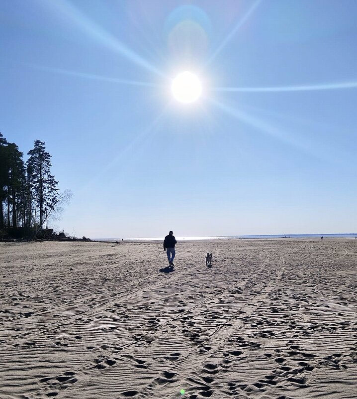 Идут на запад . Солнце в объективе . - Мила Бовкун