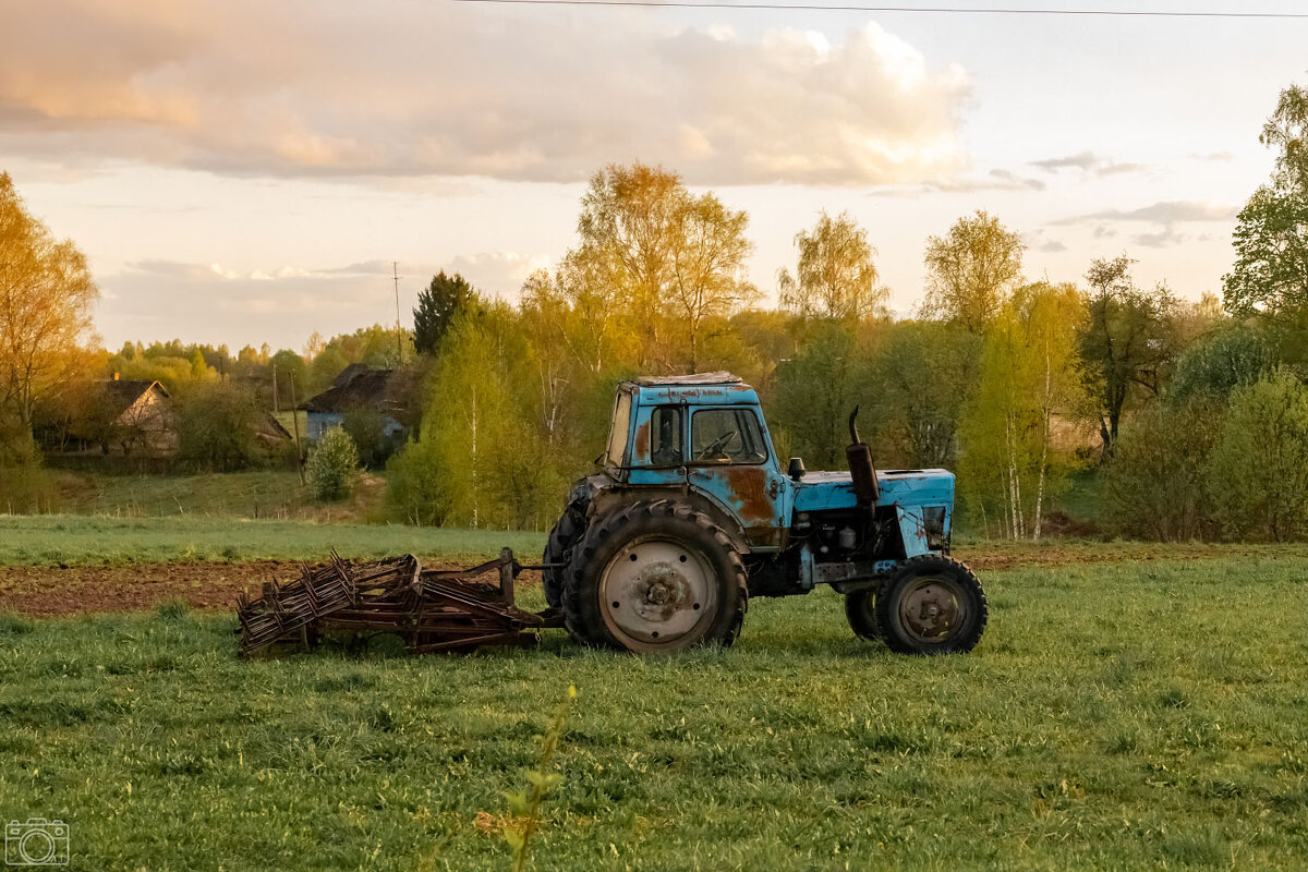 В поле - Александр 