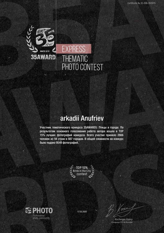 Итог 2024 - arkadii 