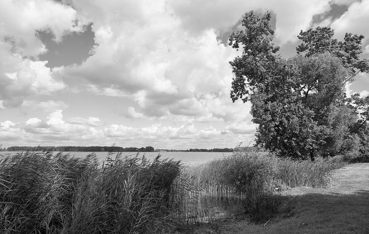 Берег - Genych Bartkus Берег - Genych Bartkus