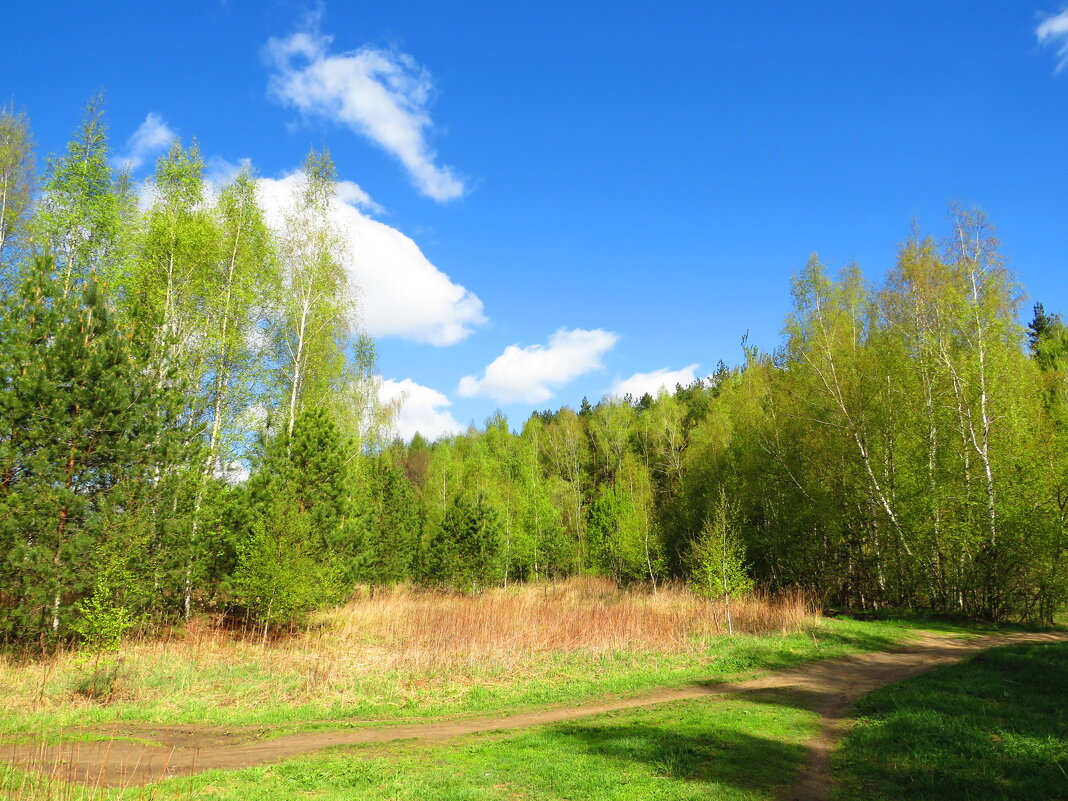 Весенние дорожки - Андрей Снегерёв Весенние дорожки - Андрей Снегерёв