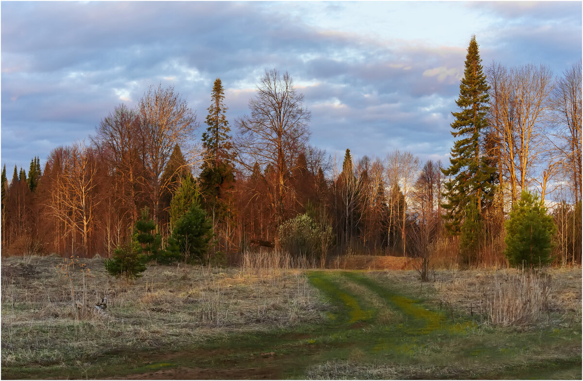 Майский вечер - Валентин Котляров Майский вечер - Валентин Котляров