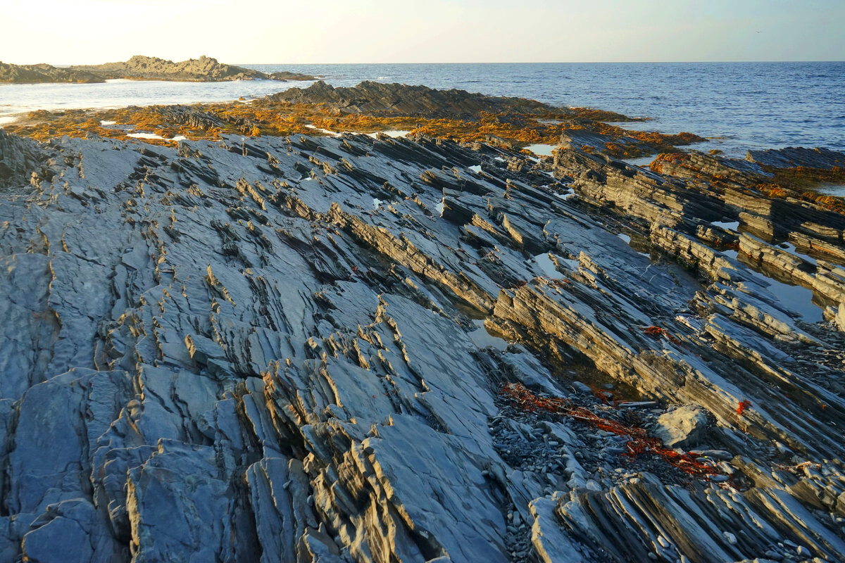Берег мыса Немецкий - Анастасия Софронова Берег мыса Немецкий - Анастасия Софронова