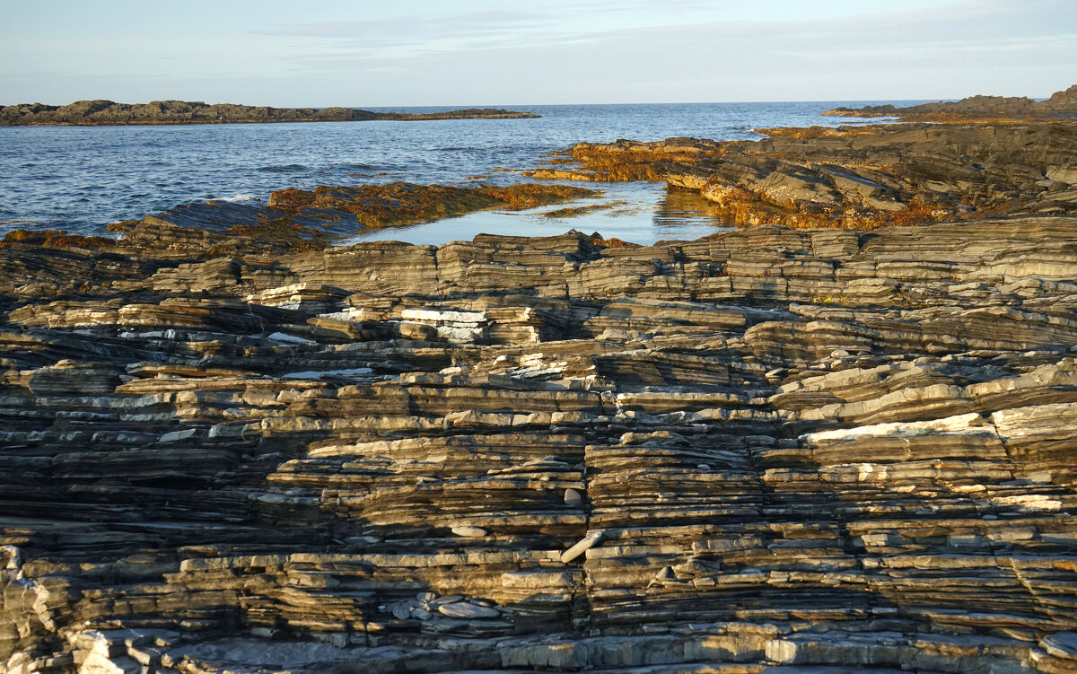 Мыс Немецкий - Анастасия Софронова Мыс Немецкий - Анастасия Софронова