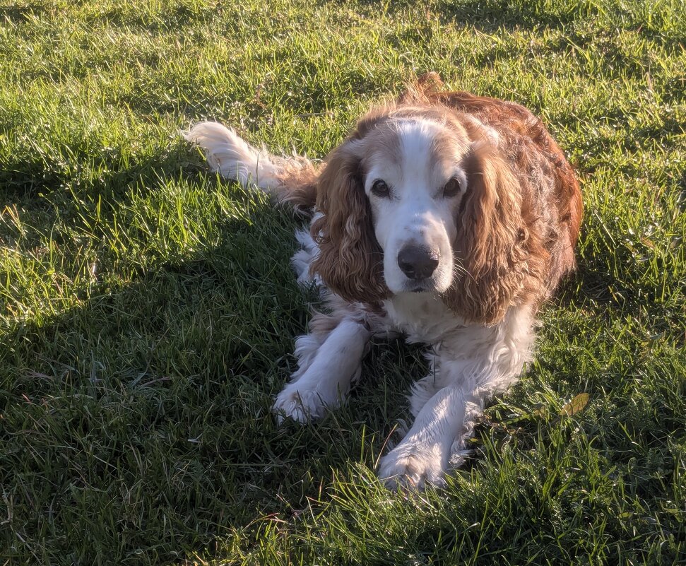 Все хорошо у вас? - liudmila drake Все хорошо у вас? - liudmila drake