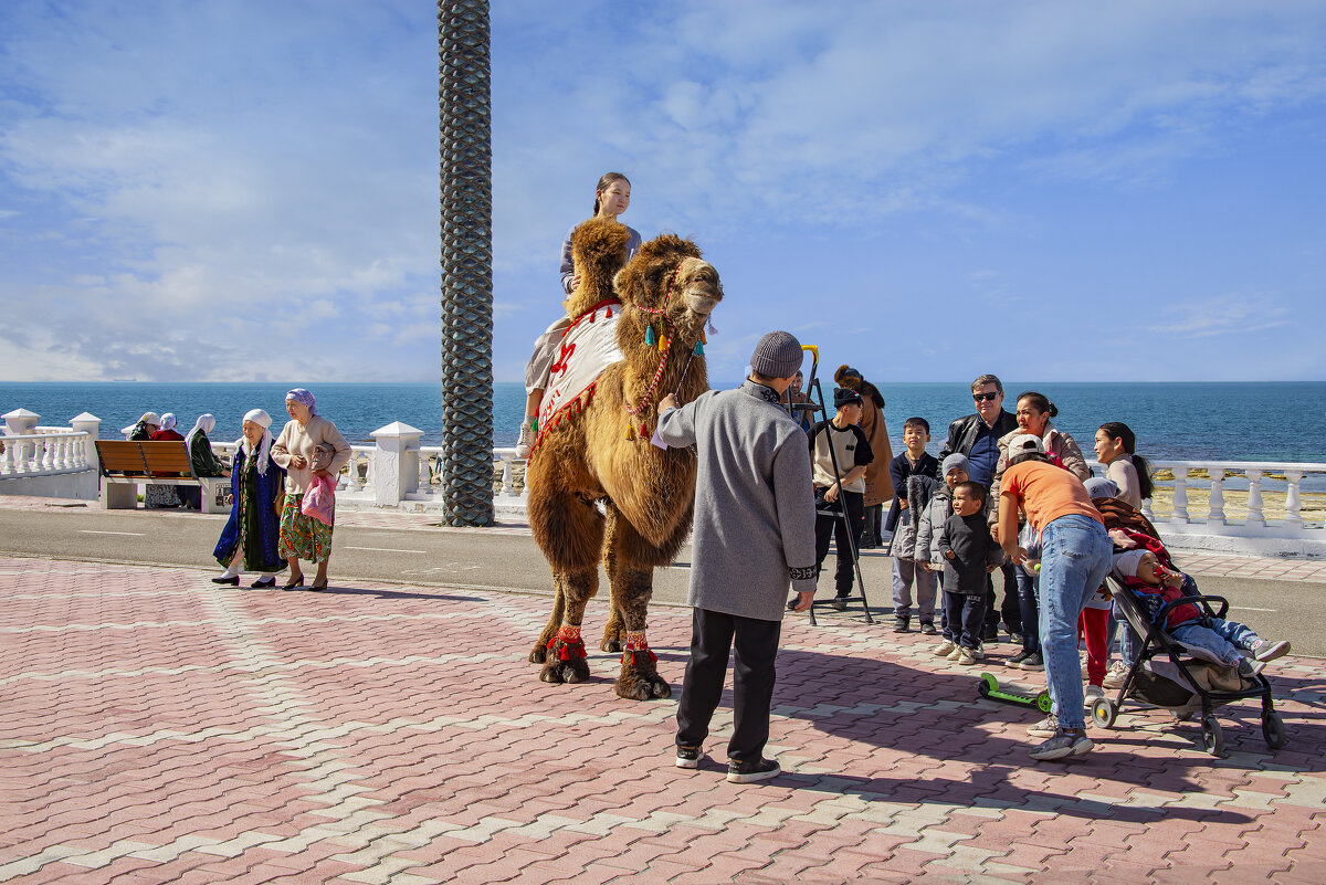 На берегу - Анатолий Чикчирный На берегу - Анатолий Чикчирный