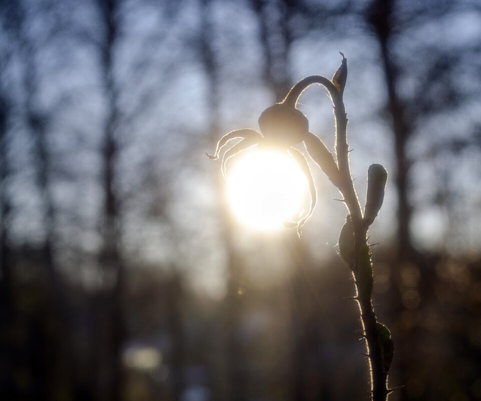 Обнимая Солнышко - Lyubov Busova