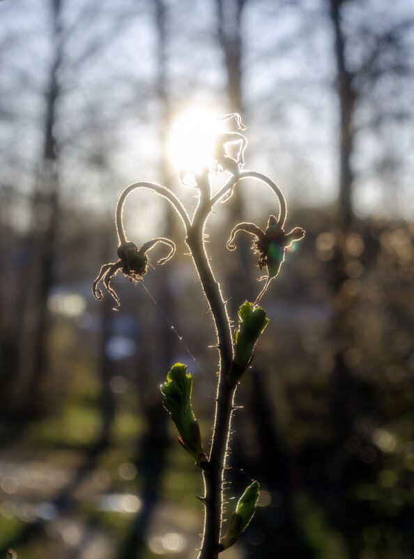 2 в 1 - Lyubov Busova