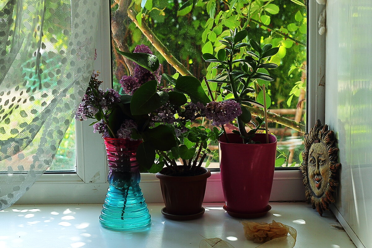 На окошке - Юрий Гайворонскiий На окошке - Юрий Гайворонскiий