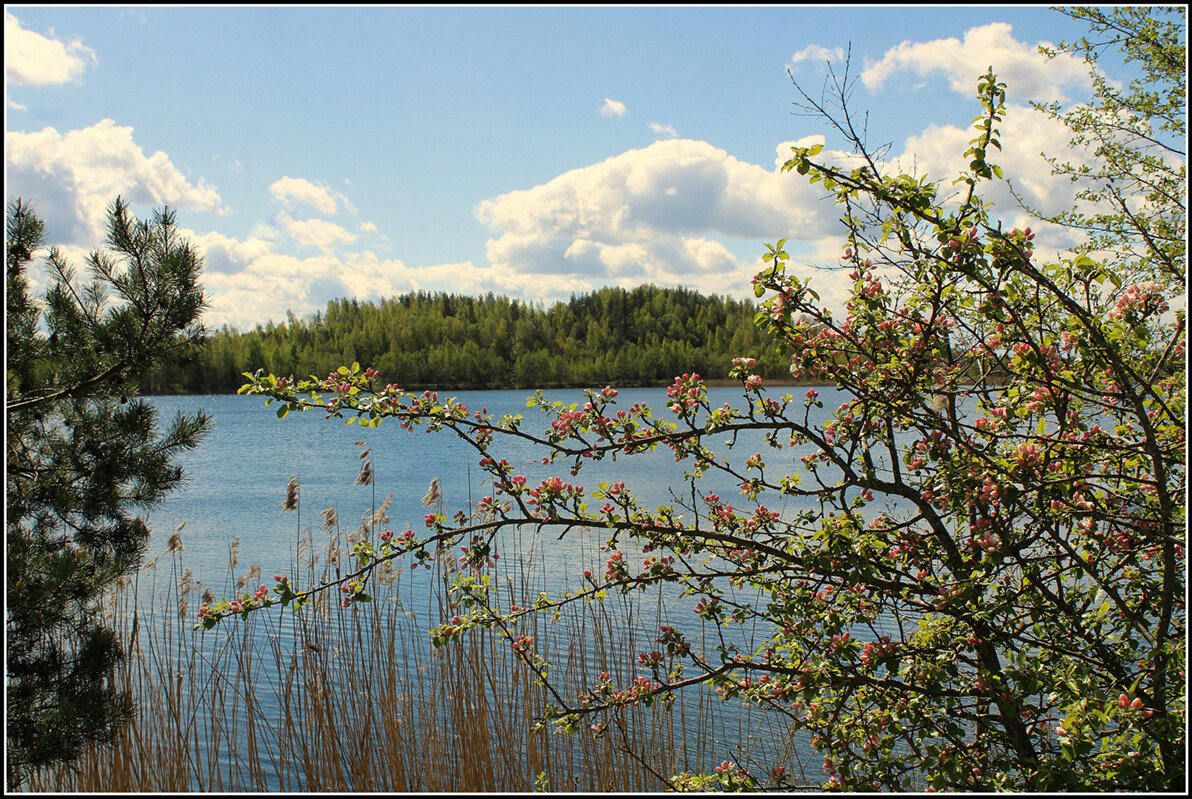 Весна - Aleksandr Gal Весна - Aleksandr Gal