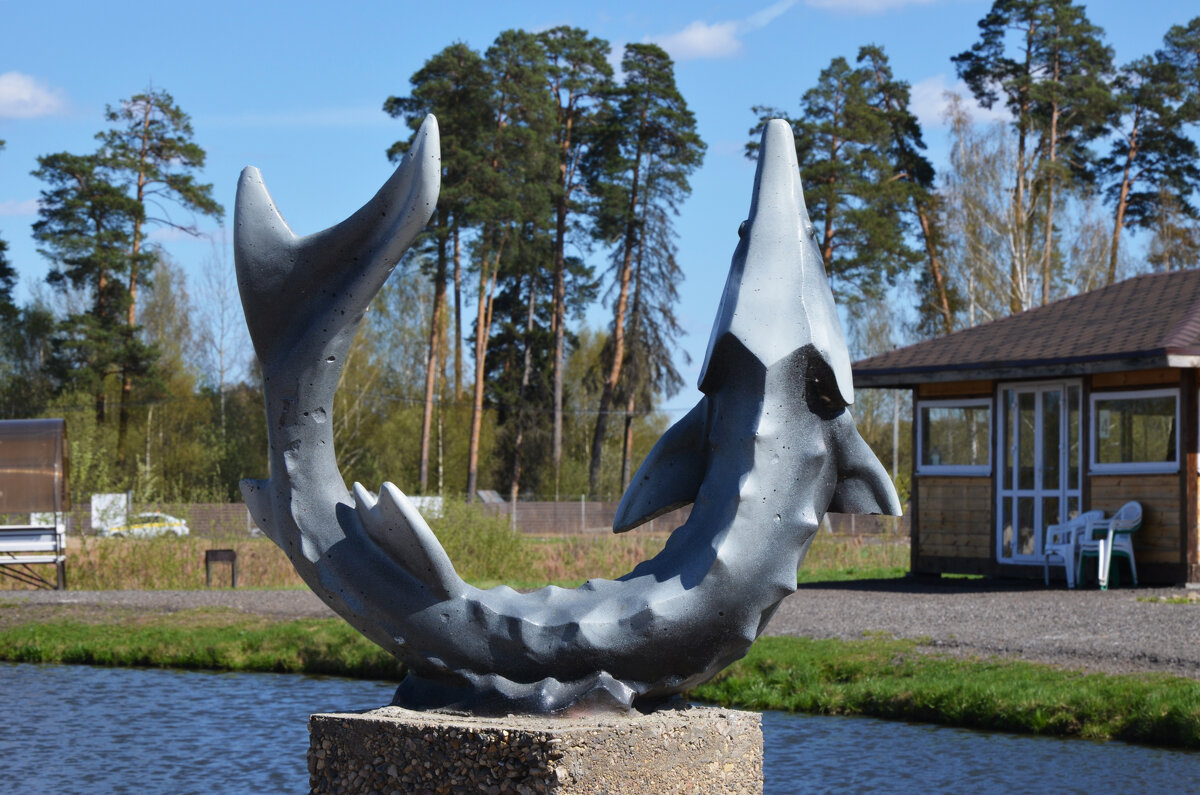 Московская область. г. Пушкино. Осетровая ферма. - Наташа ***** Московская область. г. Пушкино. Осетровая ферма. - Наташа *****