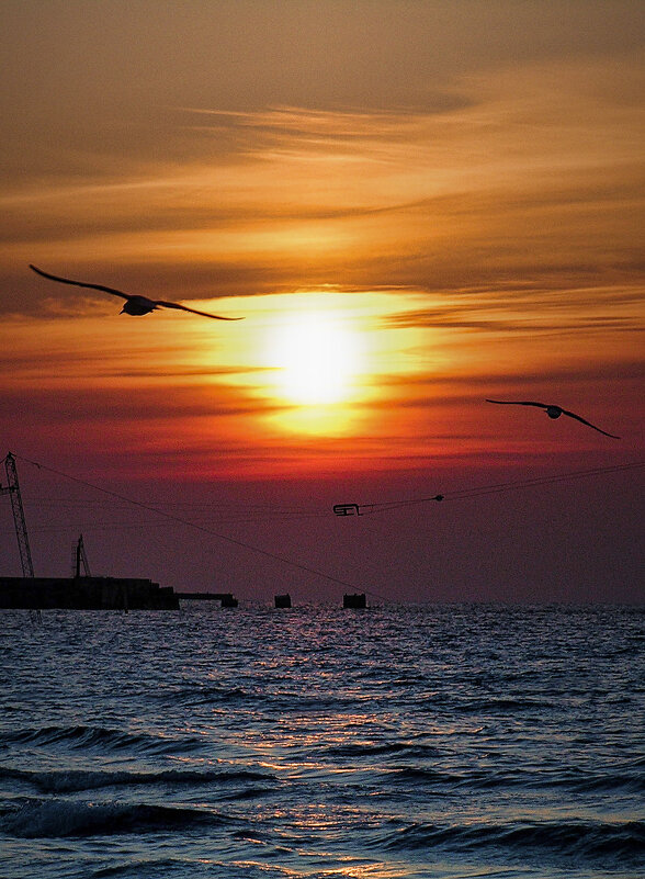 На закате. - Svyatoslav [Artisan] Ph.