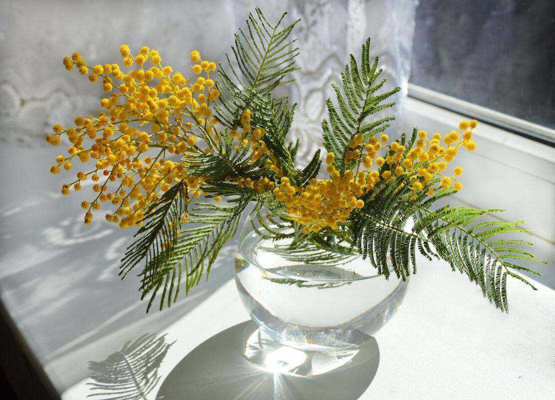 Весенний,  мимоза - Надежда Куркина 