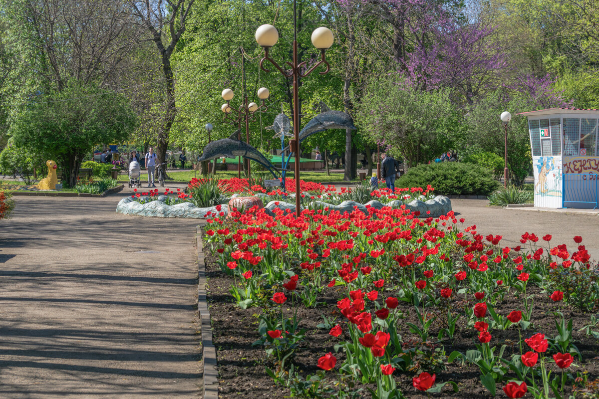 Городской парк - Игорь Сикорский Городской парк - Игорь Сикорский