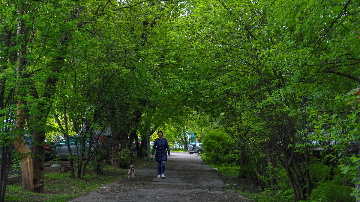 ***** - юрий поляков