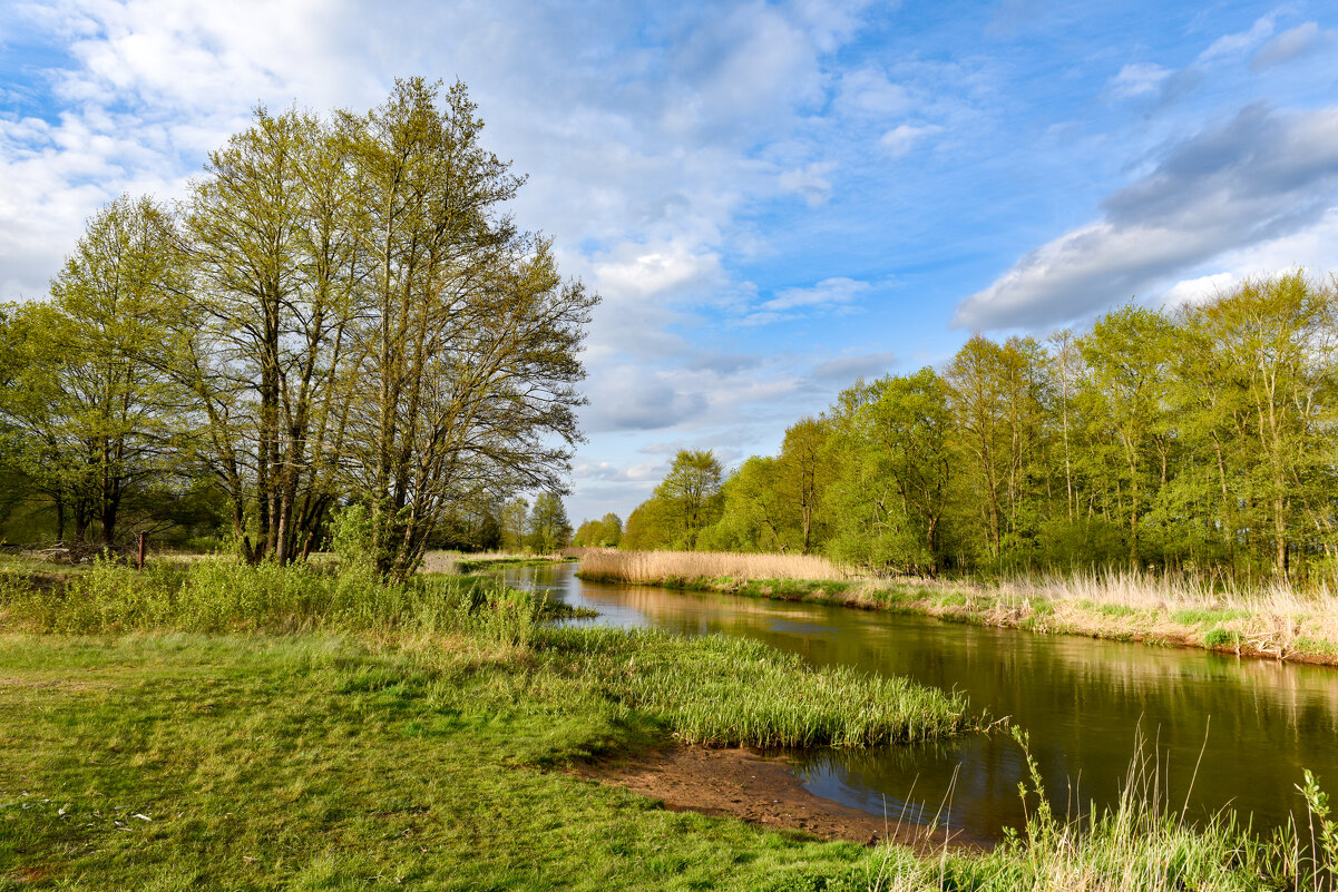 Весна на Исле - Александр Мезенцев