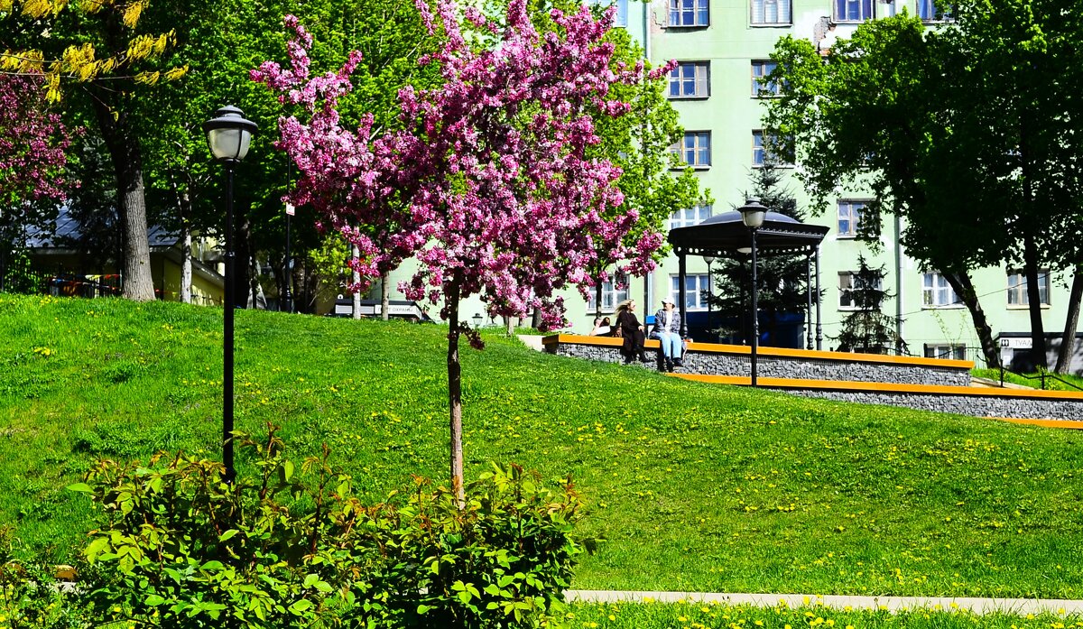 В парке Горка. - Василий Палий