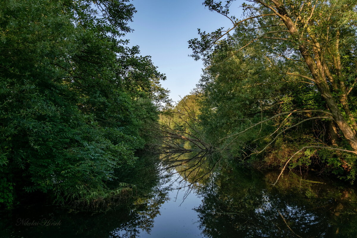 Протока... - Николай Гирш