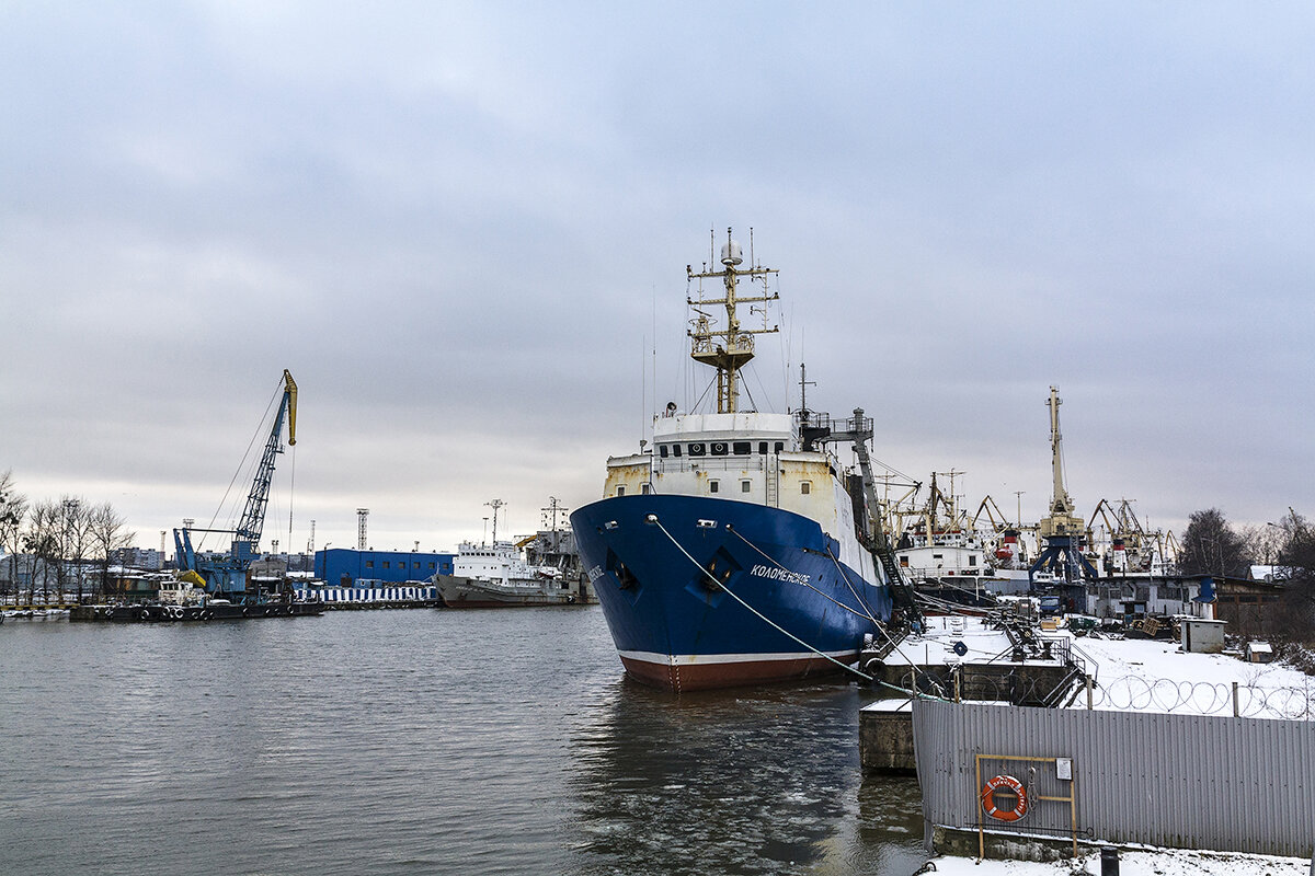 Калининград - Дмитрий 