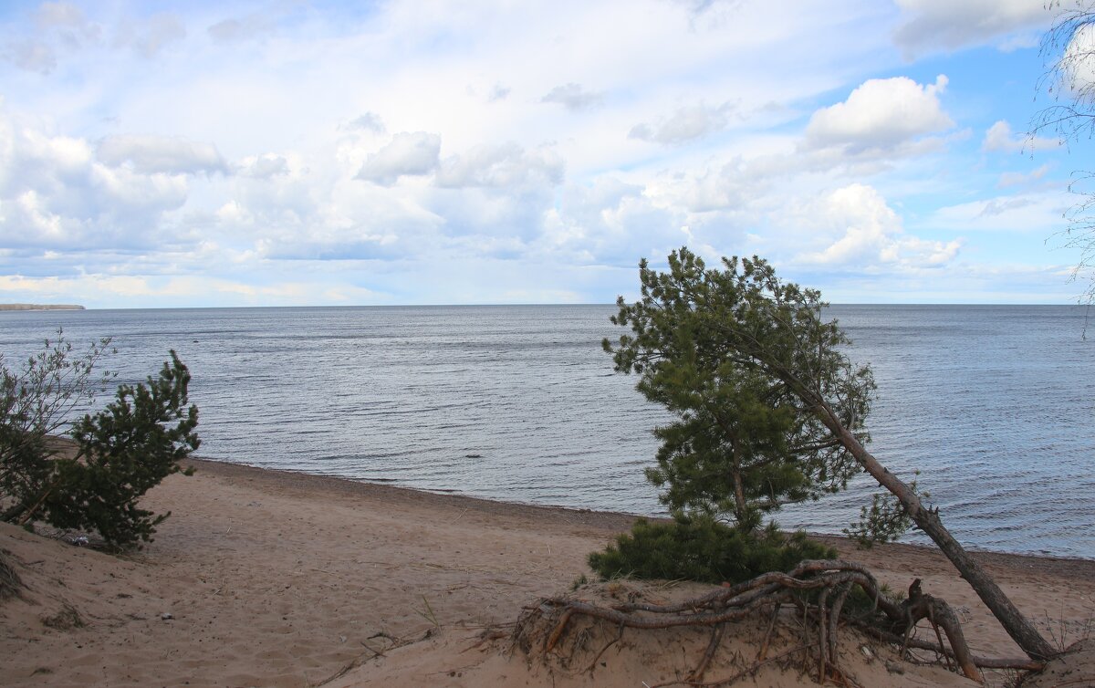 Ладожское Озеро - Наталья Герасимова Ладожское Озеро - Наталья Герасимова