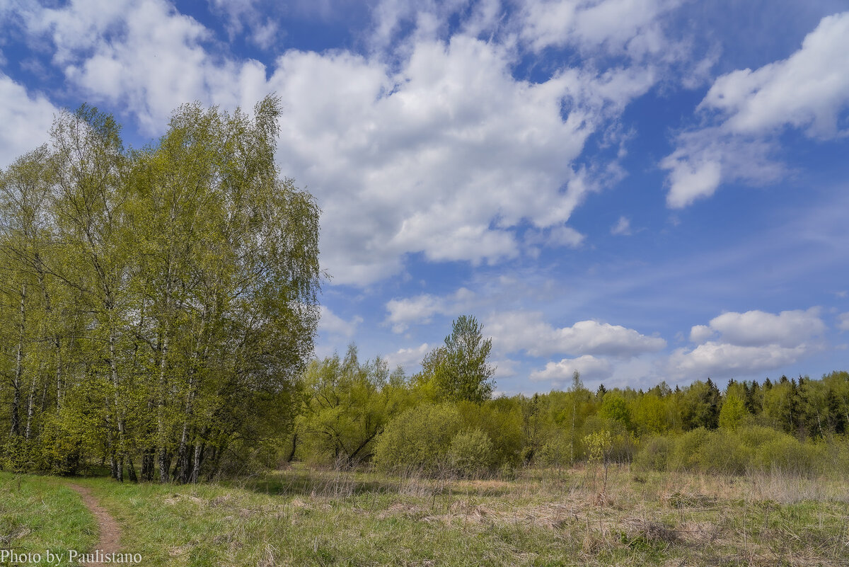 Под небом мая... - Владимир Жданов Под небом мая... - Владимир Жданов