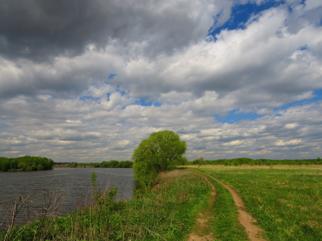 Дорожка вдоль реки - Андрей Снегерёв Дорожка вдоль реки - Андрей Снегерёв