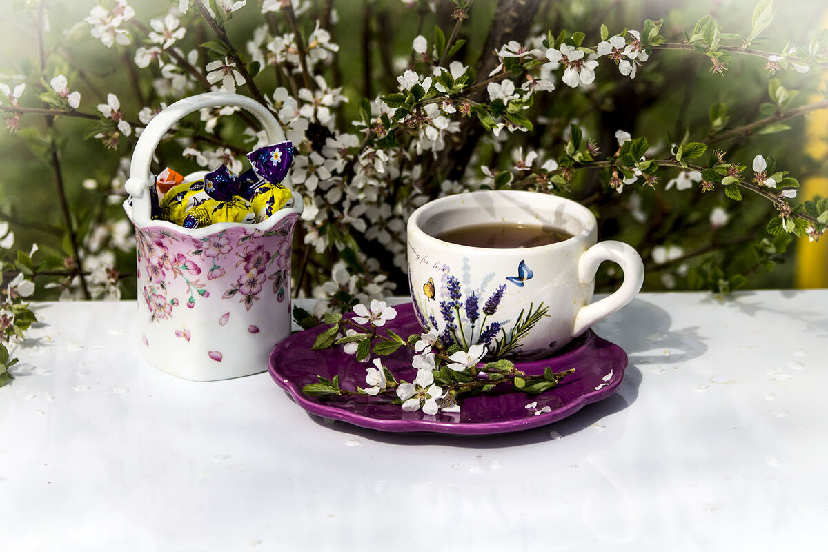 Завтрак на природе - Людмила Павловна Крышковец Завтрак на природе - Людмила Павловна Крышковец