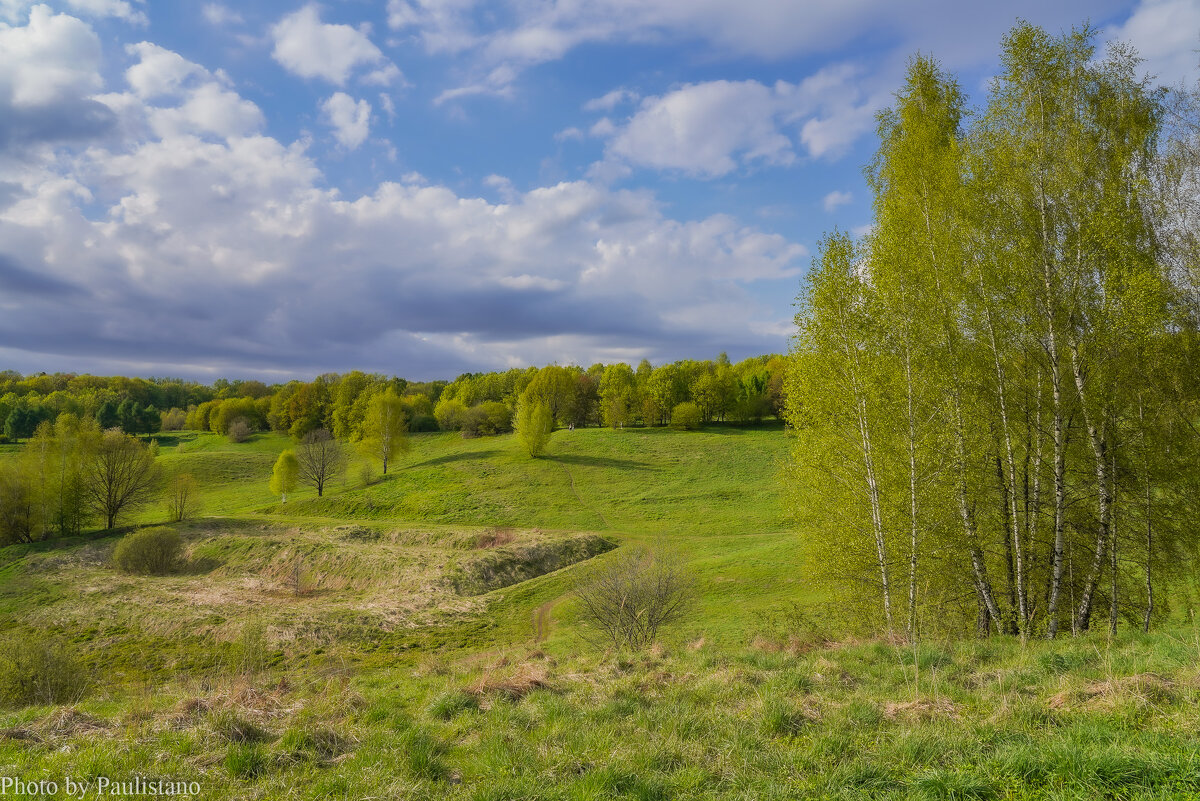 Зелёный май... - Владимир Жданов