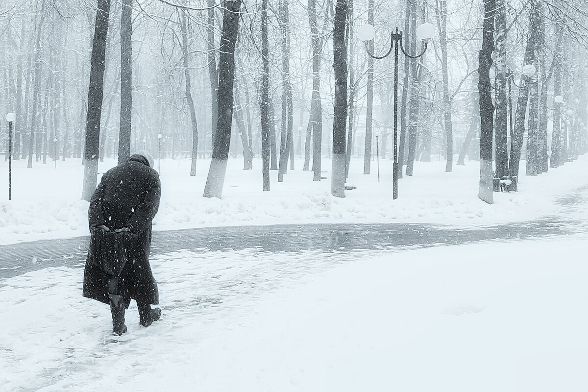 В парке городском... - Владимир Шошин В парке городском... - Владимир Шошин