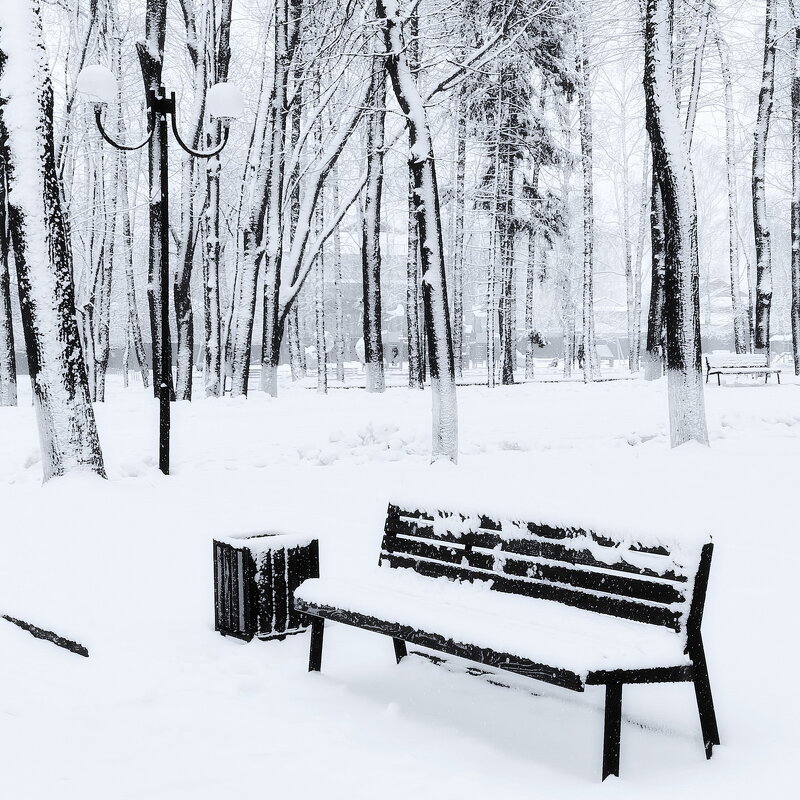 После снегопада... - Владимир Шошин
