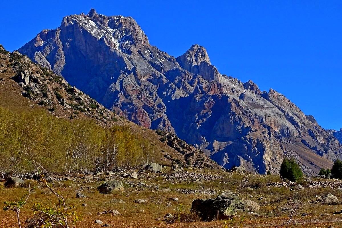 ПО ДОРОГЕ ДОМОЙ. - Виктор Осипчук ПО ДОРОГЕ ДОМОЙ. - Виктор Осипчук
