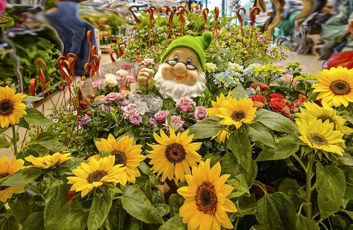 В магазине - Валерий Иванович В магазине - Валерий Иванович