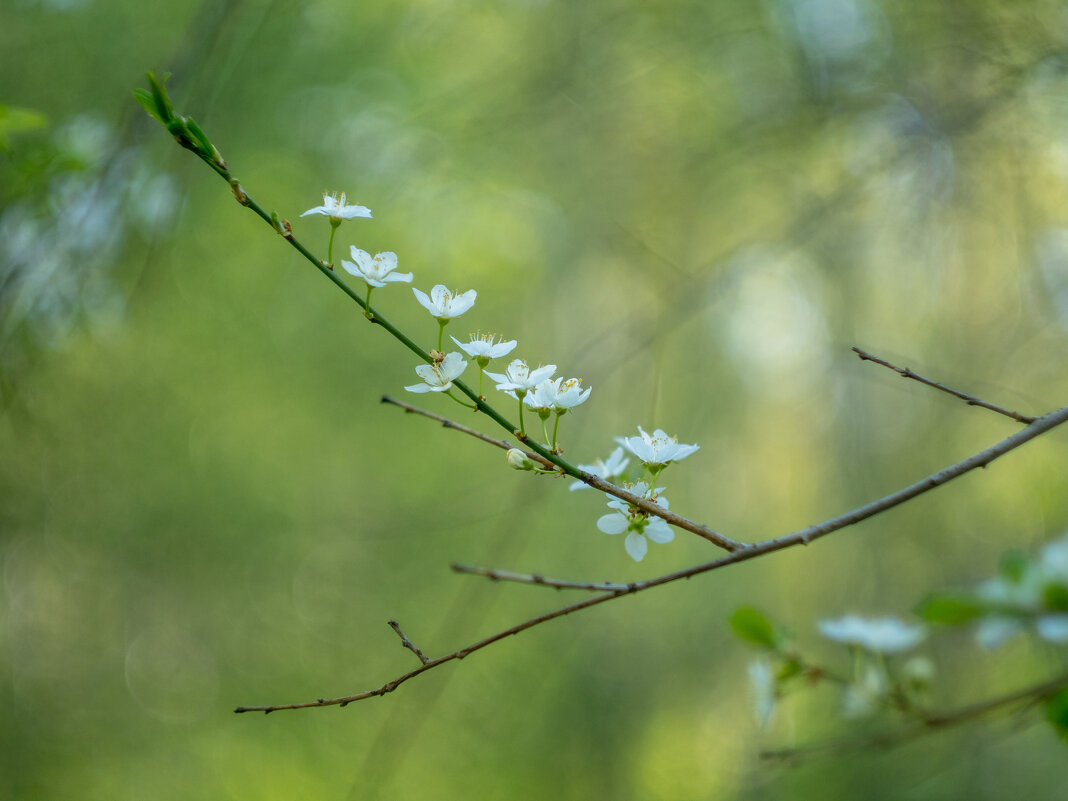 ___ - Yuriy V ___ - Yuriy V