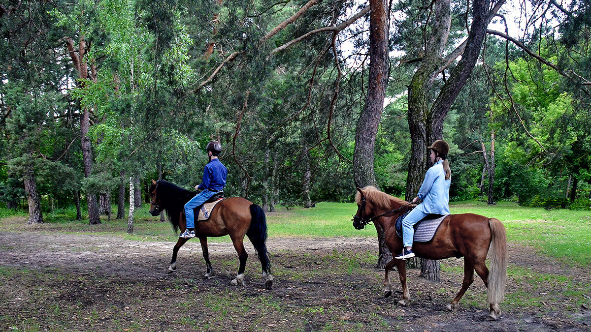 Ещё одна радость в жизни - Alexandеr P