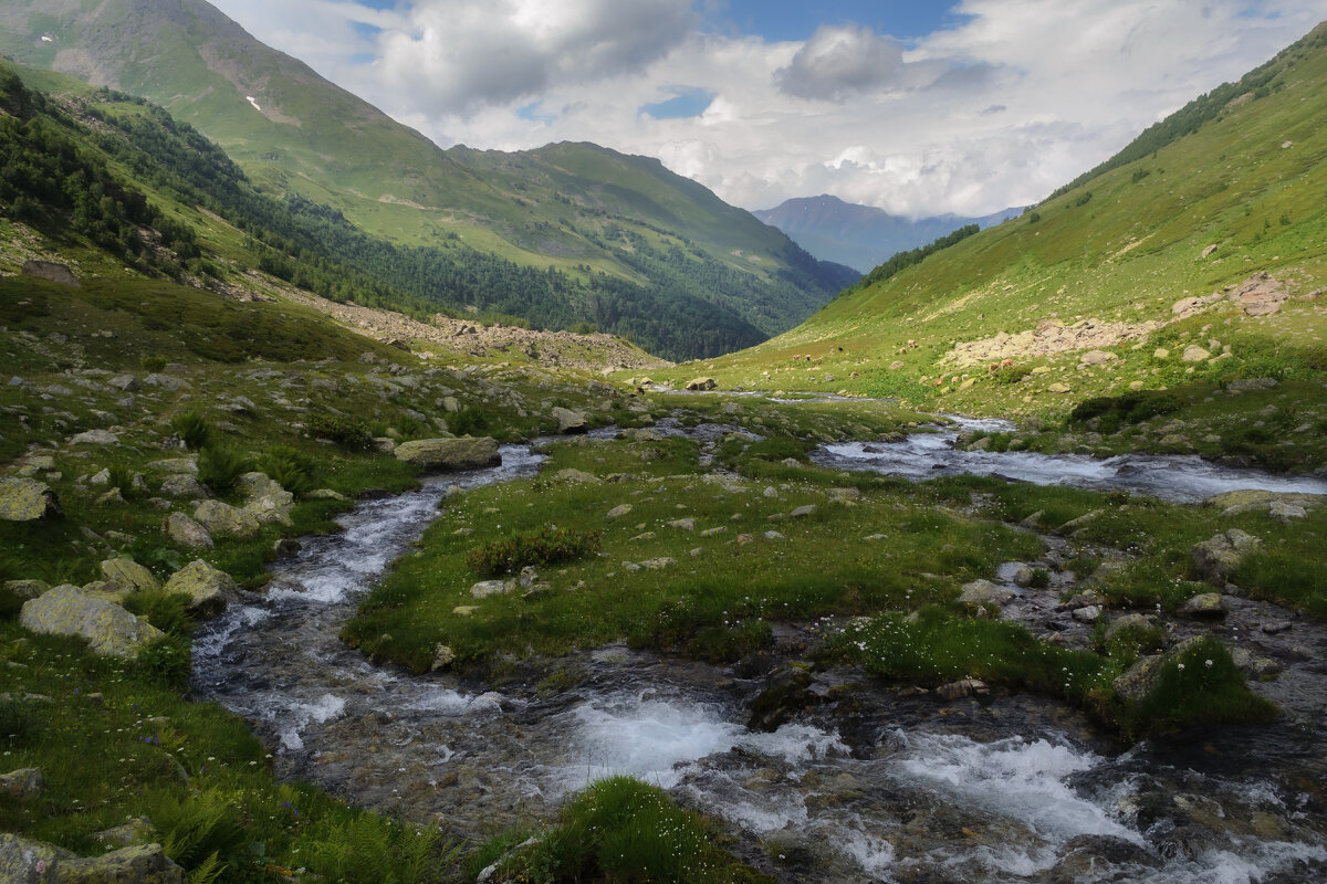 ... - Сергей Лысенко ... - Сергей Лысенко