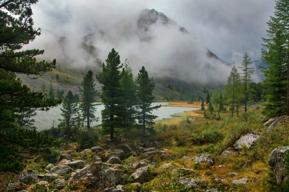 Камнепад - Виктор Фоменко