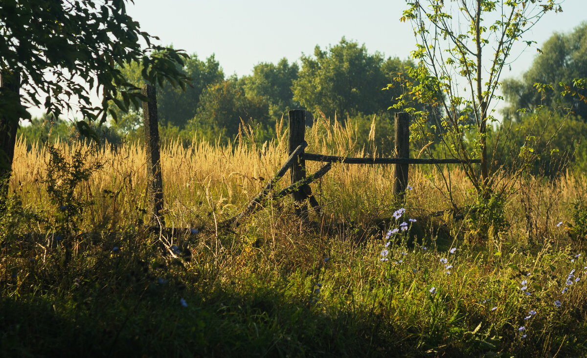 ... - Сергей Лысенко