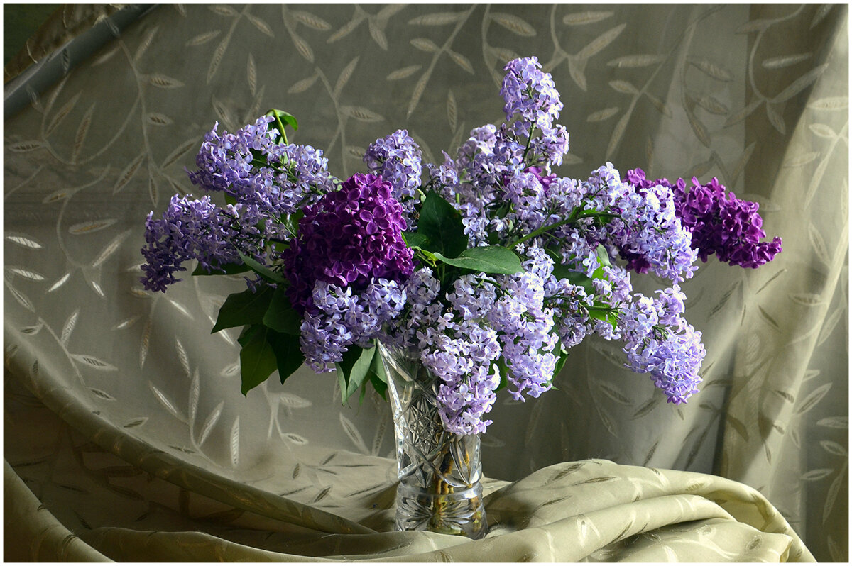 *** - Aleksandr Gal *** - Aleksandr Gal