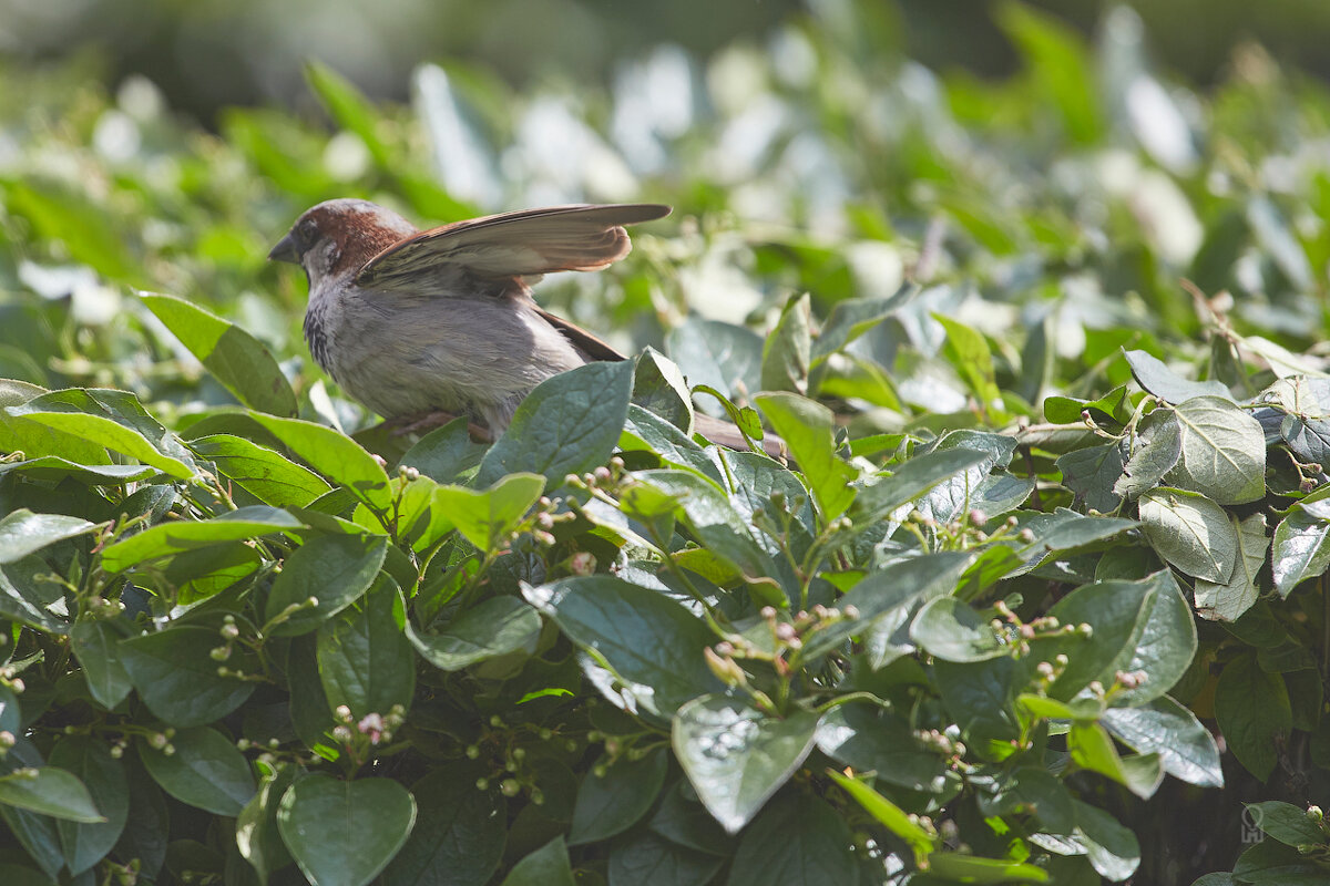 Вам - туда! - Олег Манаенков
